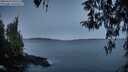 ./images/koeye/fitz-hugh/20260329/fitz-hugh20260329_065502M.jpg