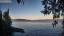./images/koeye/fitz-hugh/20260329/fitz-hugh20260329_074001M.jpg