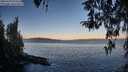 ./images/koeye/fitz-hugh/20260329/fitz-hugh20260329_074501M.jpg