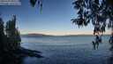 ./images/koeye/fitz-hugh/20260329/fitz-hugh20260329_080501M.jpg