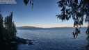 ./images/koeye/fitz-hugh/20260329/fitz-hugh20260329_082501M.jpg