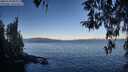 ./images/koeye/fitz-hugh/20260329/fitz-hugh20260329_083002M.jpg