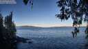 ./images/koeye/fitz-hugh/20260329/fitz-hugh20260329_084002M.jpg