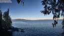 ./images/koeye/fitz-hugh/20260329/fitz-hugh20260329_084502M.jpg