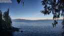./images/koeye/fitz-hugh/20260329/fitz-hugh20260329_085001M.jpg