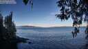 ./images/koeye/fitz-hugh/20260329/fitz-hugh20260329_085502M.jpg
