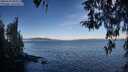 ./images/koeye/fitz-hugh/20260329/fitz-hugh20260329_090002M.jpg