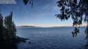 ./images/koeye/fitz-hugh/20260329/fitz-hugh20260329_090501M.jpg