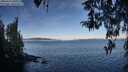 ./images/koeye/fitz-hugh/20260329/fitz-hugh20260329_091001M.jpg