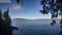./images/koeye/fitz-hugh/20260329/fitz-hugh20260329_093002M.jpg