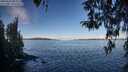 ./images/koeye/fitz-hugh/20260329/fitz-hugh20260329_093501M.jpg