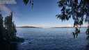 ./images/koeye/fitz-hugh/20260329/fitz-hugh20260329_094001M.jpg