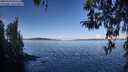 ./images/koeye/fitz-hugh/20260329/fitz-hugh20260329_094502M.jpg
