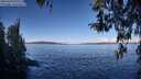 ./images/koeye/fitz-hugh/20260329/fitz-hugh20260329_095501M.jpg