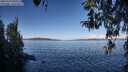 ./images/koeye/fitz-hugh/20260329/fitz-hugh20260329_100001M.jpg