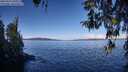 ./images/koeye/fitz-hugh/20260329/fitz-hugh20260329_100501M.jpg