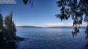 ./images/koeye/fitz-hugh/20260329/fitz-hugh20260329_103502M.jpg