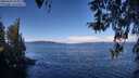 ./images/koeye/fitz-hugh/20260329/fitz-hugh20260329_104002M.jpg