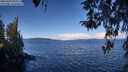 ./images/koeye/fitz-hugh/20260329/fitz-hugh20260329_104501M.jpg