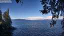 ./images/koeye/fitz-hugh/20260329/fitz-hugh20260329_105002M.jpg