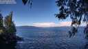 ./images/koeye/fitz-hugh/20260329/fitz-hugh20260329_110001M.jpg