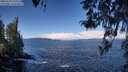 ./images/koeye/fitz-hugh/20260329/fitz-hugh20260329_111001M.jpg