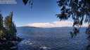 ./images/koeye/fitz-hugh/20260329/fitz-hugh20260329_111501M.jpg