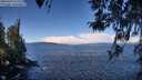 ./images/koeye/fitz-hugh/20260329/fitz-hugh20260329_112001M.jpg