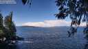 ./images/koeye/fitz-hugh/20260329/fitz-hugh20260329_112501M.jpg