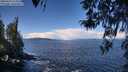 ./images/koeye/fitz-hugh/20260329/fitz-hugh20260329_113501M.jpg