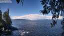./images/koeye/fitz-hugh/20260329/fitz-hugh20260329_114001M.jpg