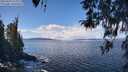 ./images/koeye/fitz-hugh/20260329/fitz-hugh20260329_124001M.jpg