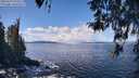 ./images/koeye/fitz-hugh/20260329/fitz-hugh20260329_124501M.jpg
