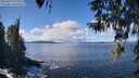 ./images/koeye/fitz-hugh/20260329/fitz-hugh20260329_125501M.jpg