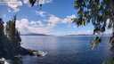 ./images/koeye/fitz-hugh/20260329/fitz-hugh20260329_132001M.jpg
