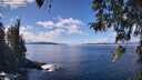 ./images/koeye/fitz-hugh/20260329/fitz-hugh20260329_132501M.jpg