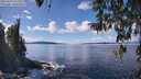 ./images/koeye/fitz-hugh/20260329/fitz-hugh20260329_133501M.jpg