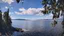 ./images/koeye/fitz-hugh/20260329/fitz-hugh20260329_134001M.jpg
