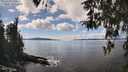 ./images/koeye/fitz-hugh/20260329/fitz-hugh20260329_140001M.jpg