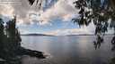 ./images/koeye/fitz-hugh/20260329/fitz-hugh20260329_141502M.jpg