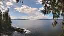 ./images/koeye/fitz-hugh/20260329/fitz-hugh20260329_143501M.jpg