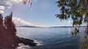 ./images/koeye/fitz-hugh/20260329/fitz-hugh20260329_151501M.jpg