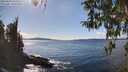 ./images/koeye/fitz-hugh/20260329/fitz-hugh20260329_152501M.jpg