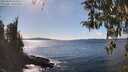 ./images/koeye/fitz-hugh/20260329/fitz-hugh20260329_153002M.jpg