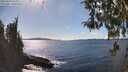 ./images/koeye/fitz-hugh/20260329/fitz-hugh20260329_153502M.jpg