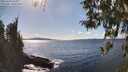 ./images/koeye/fitz-hugh/20260329/fitz-hugh20260329_154001M.jpg