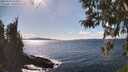 ./images/koeye/fitz-hugh/20260329/fitz-hugh20260329_154501M.jpg