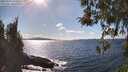 ./images/koeye/fitz-hugh/20260329/fitz-hugh20260329_155501M.jpg