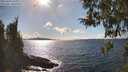 ./images/koeye/fitz-hugh/20260329/fitz-hugh20260329_161001M.jpg