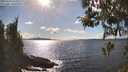 ./images/koeye/fitz-hugh/20260329/fitz-hugh20260329_161501M.jpg